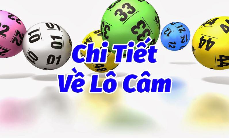 Đôi nét về lô câm