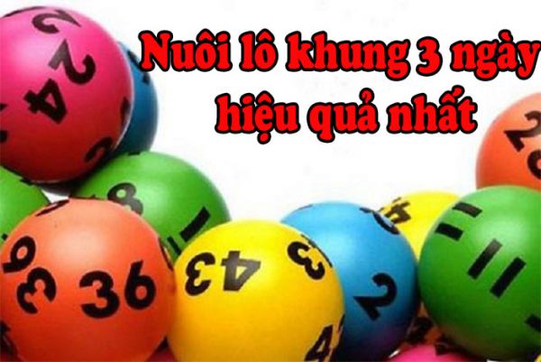 Nuôi lô kép rồng bạch kim trong khoảng 3 ngày