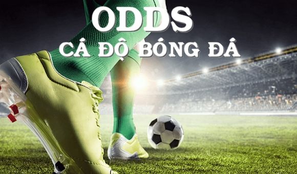 Các tỷ lệ Odds lợi nhuận cơ bản trong cá cược bóng đá 