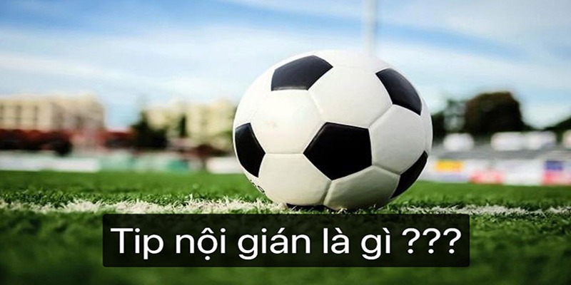 Tips nội gián là gì?