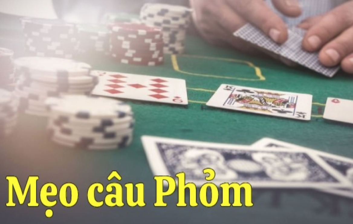 Hướng dẫn đánh phỏm chi tiết cho người mới